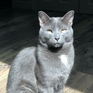 Meet your Posher, Susan